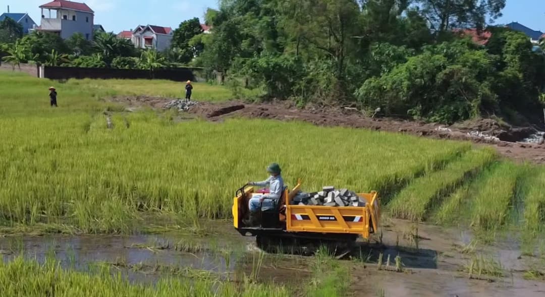 Xe rùa bánh xích 2 tấn chở đá qua ruộng lúa ngập nước ở Ba Vì