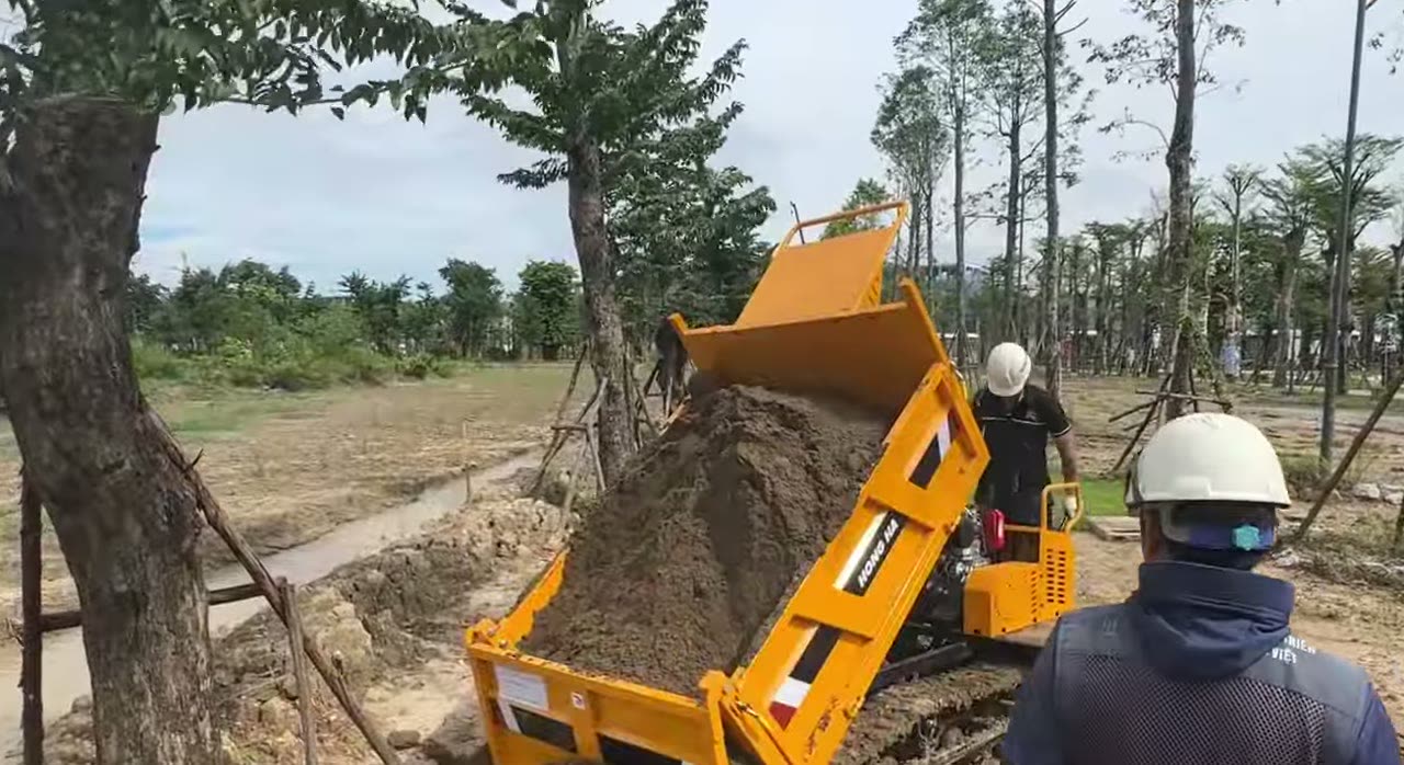 Nâng ben đổ đất quanh gốc cây