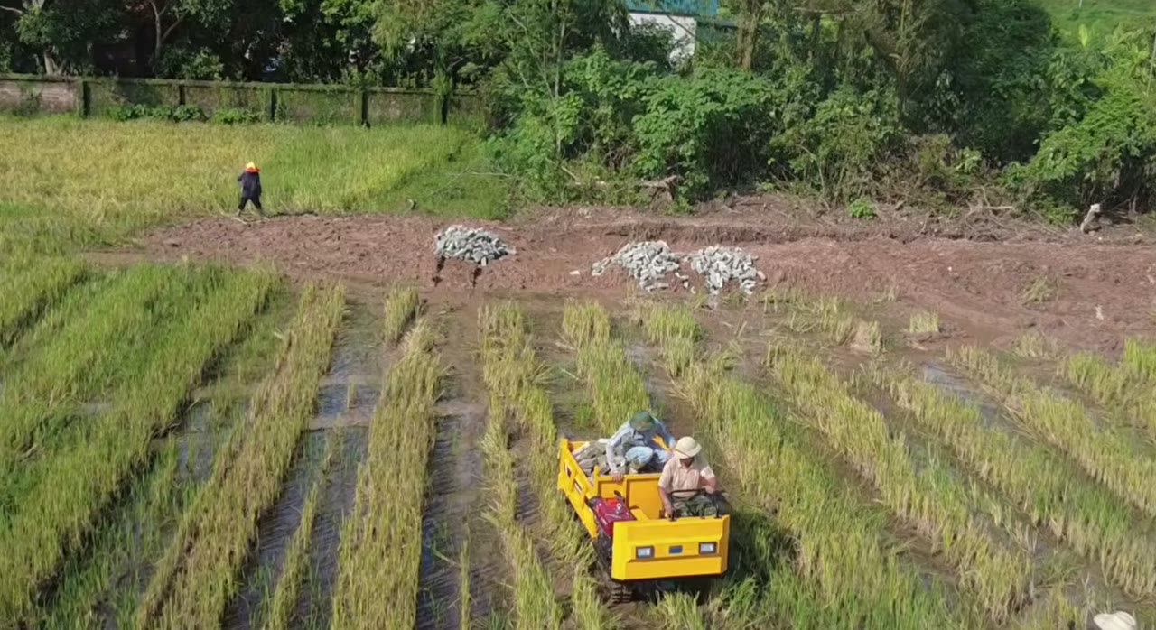 Xe rùa bánh xích 2 tấn chở đá đi giữa ruộng, phía sau là các đống đá đã đổ