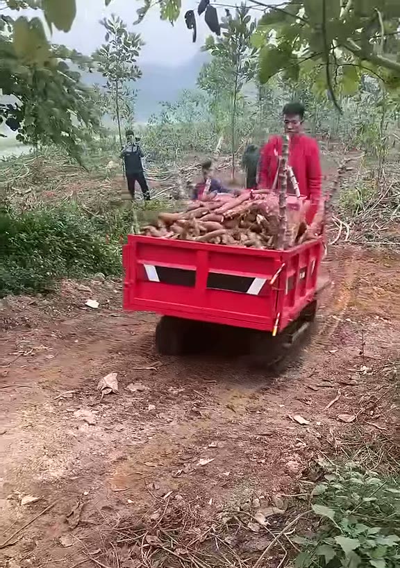 Xe rùa bánh xích chở đầy thùng sắn trên đường đất